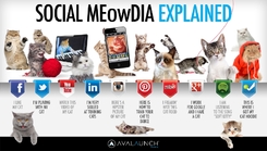 Vysvětlení rozdílů mezi sociálními médii.