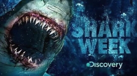"Týden žraloků" na Discovery Channel a Animal Planet.