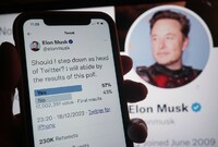 Většina uživatelů sociální sítě Twitter se v hlasování vyslovila pro odchod Elona Muska z funkce ředitele stejnojmenného podniku.